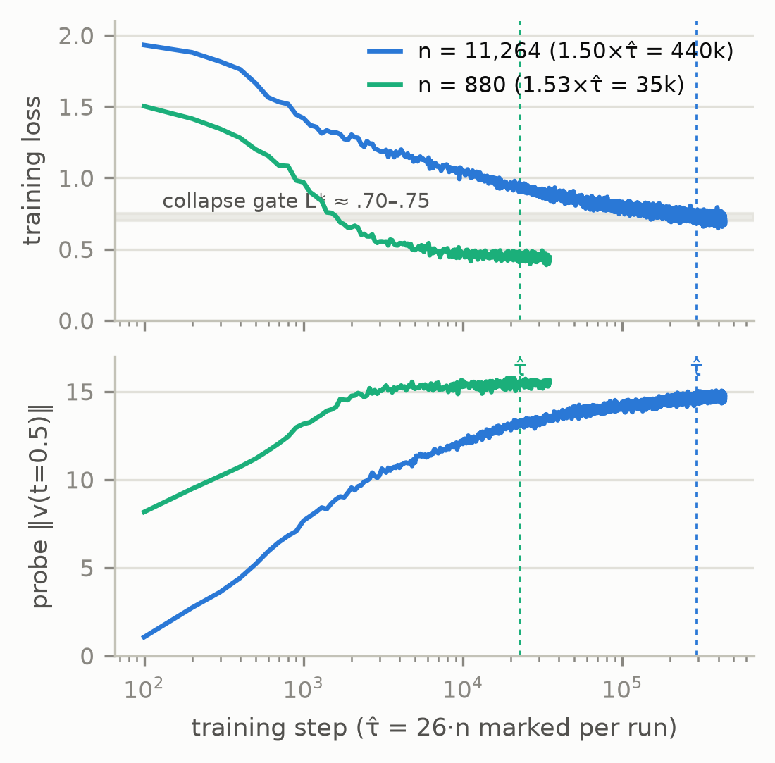 Training-loss and probe-velocity-norm traces for both law-test runs, with the collapse gate band and each run's tau-hat horizon marked.